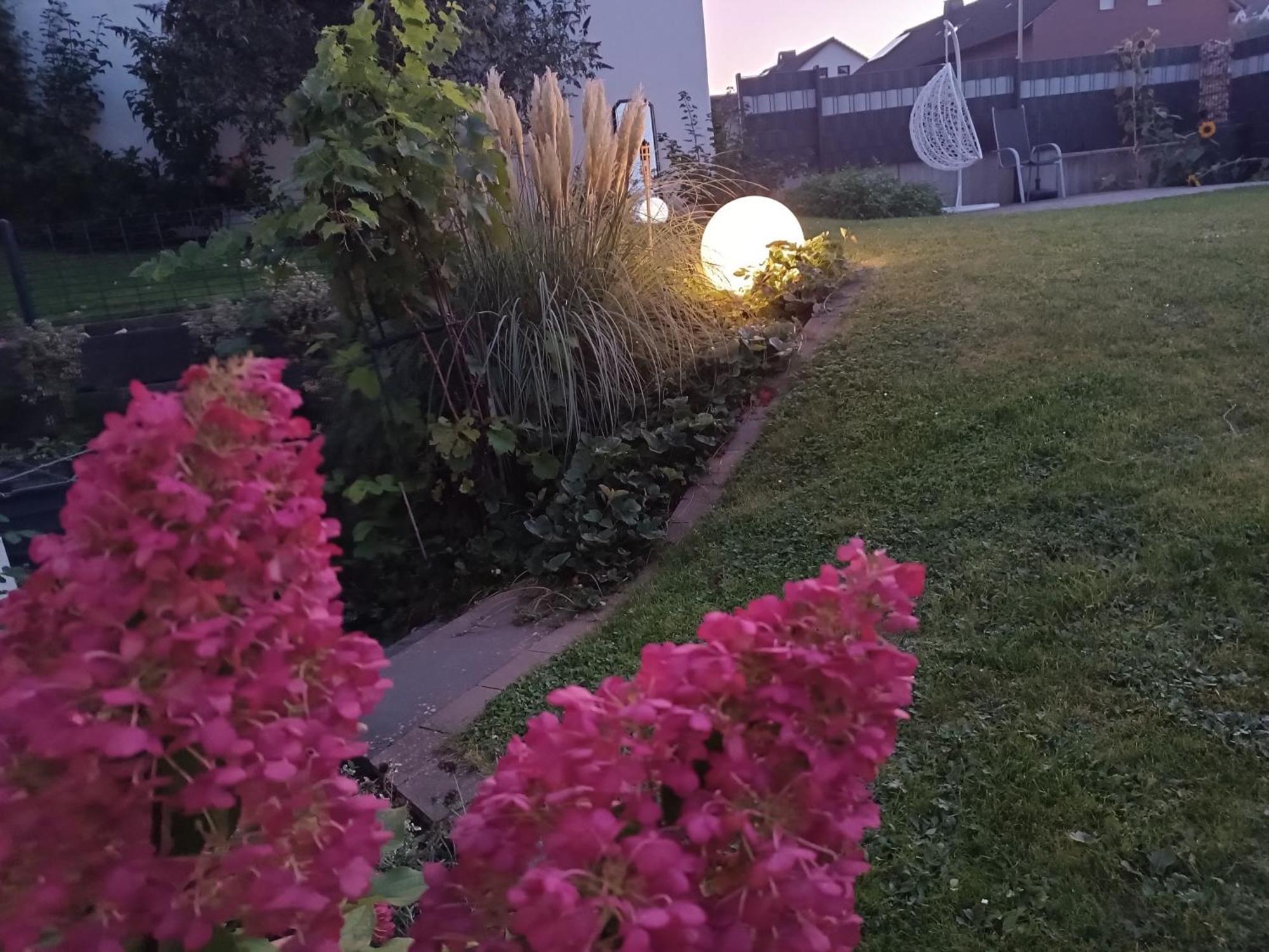 Ferienwohnung Sonnenblick Und Relax Sundern Bagian luar foto